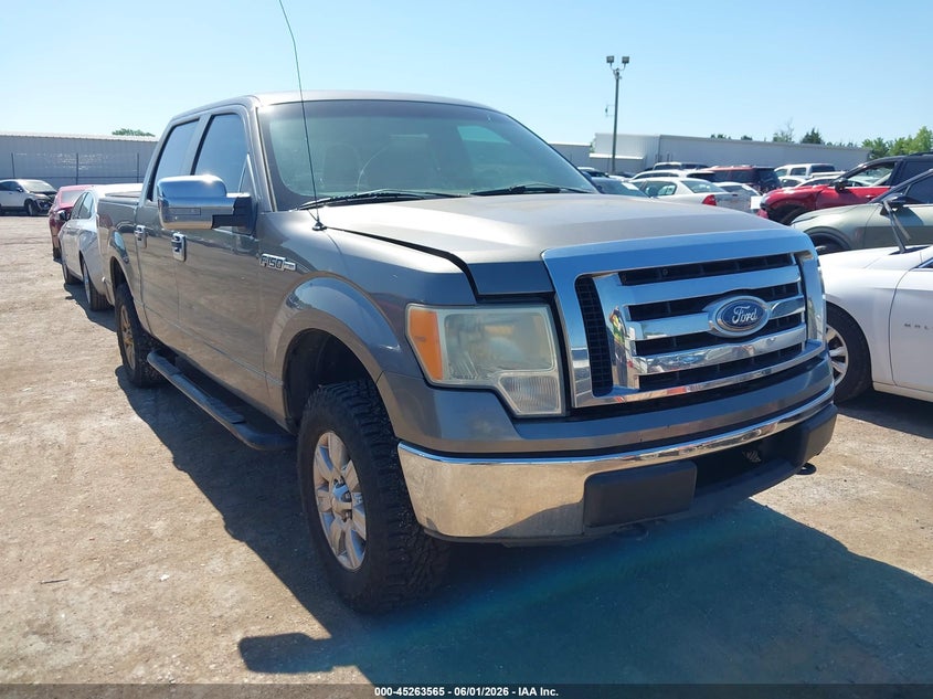 2010 Ford F-150 Fx4/Harley-Davidson/King Ranch/Lariat/Platinum/Xl/Xlt