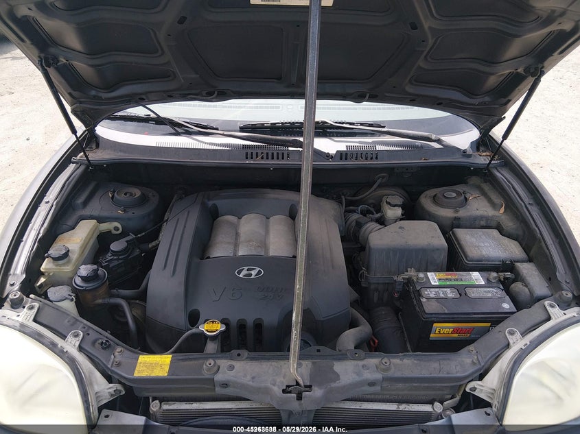 2003 Hyundai Santa Fe Gls/Lx VIN: KM8SC13D83U426807 Lot: 45263638