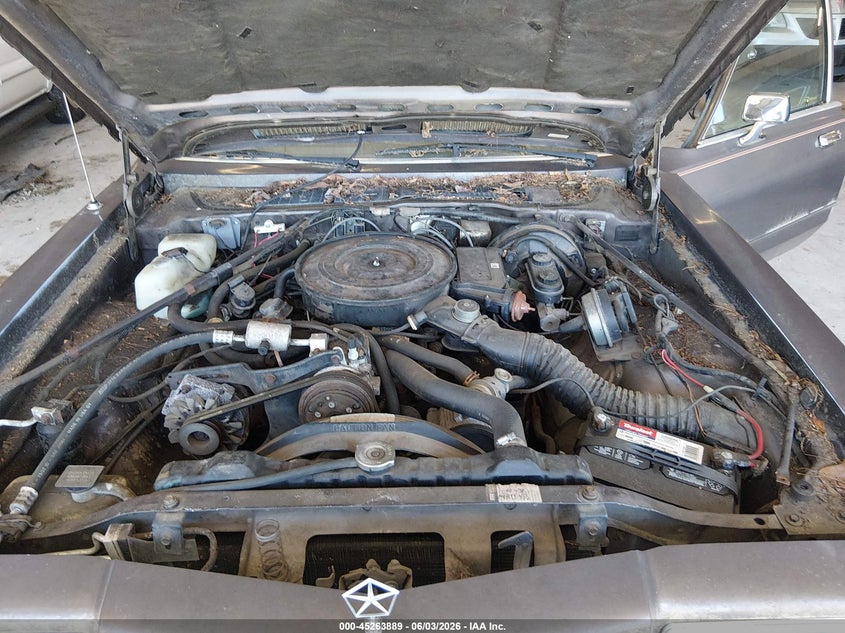 1988 Plymouth Gran Fury Caravelle VIN: 1P3BB26P7JW126499 Lot: 45263889