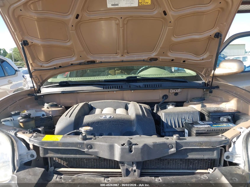 2003 Hyundai Santa Fe Gls/Lx VIN: KM8SC13D53U405283 Lot: 45263967