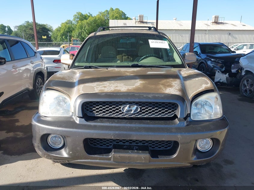 2003 Hyundai Santa Fe Gls/Lx VIN: KM8SC13D53U405283 Lot: 45263967