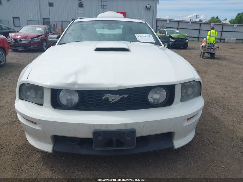 2008 Ford Mustang Gt Deluxe/Gt Premium VIN: 1ZVHT82H485120780 Lot: 45265218