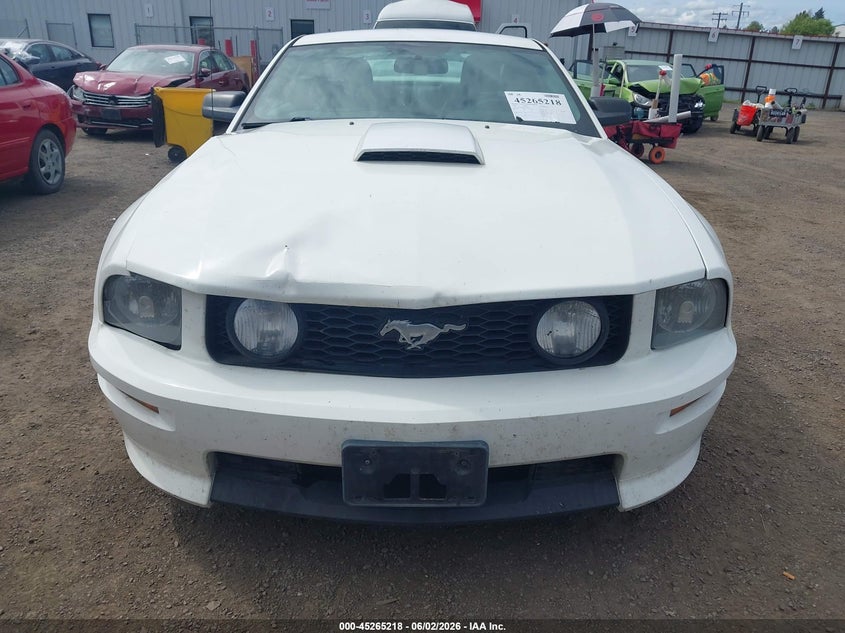 2008 Ford Mustang Gt Deluxe/Gt Premium VIN: 1ZVHT82H485120780 Lot: 45265218