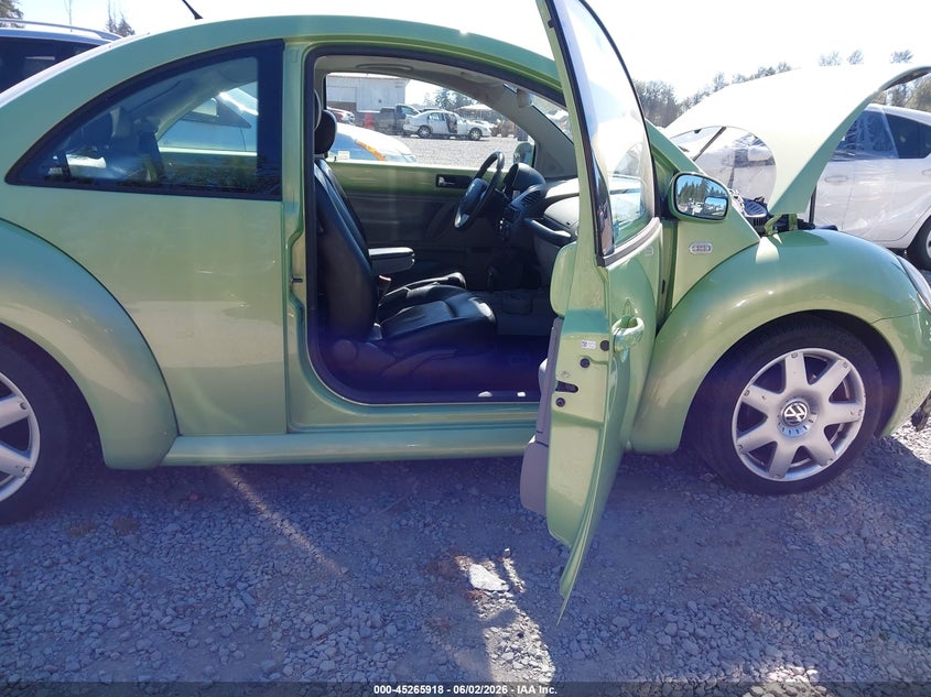 2003 Volkswagen New Beetle Glx VIN: 3VWDD21C43M425245 Lot: 45265918