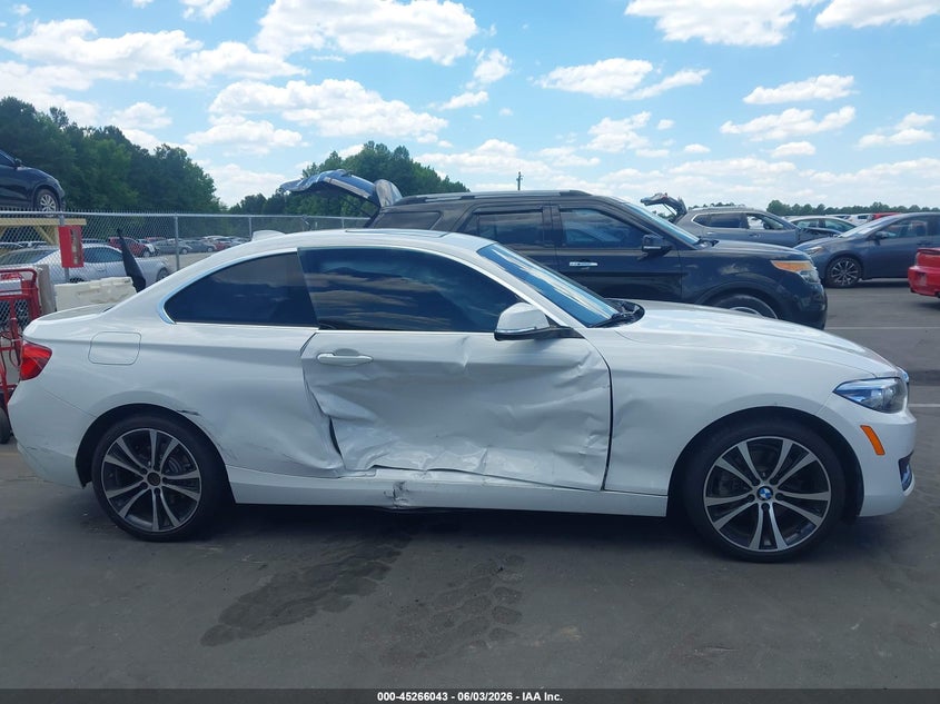 2019 BMW 230I VIN: WBA2J1C51KVD10103 Lot: 45266043