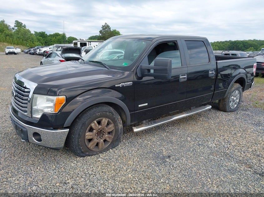 Vin: 1ftfw1et6ckd72095, lot: 45766412, ford f-150 xlt 20122