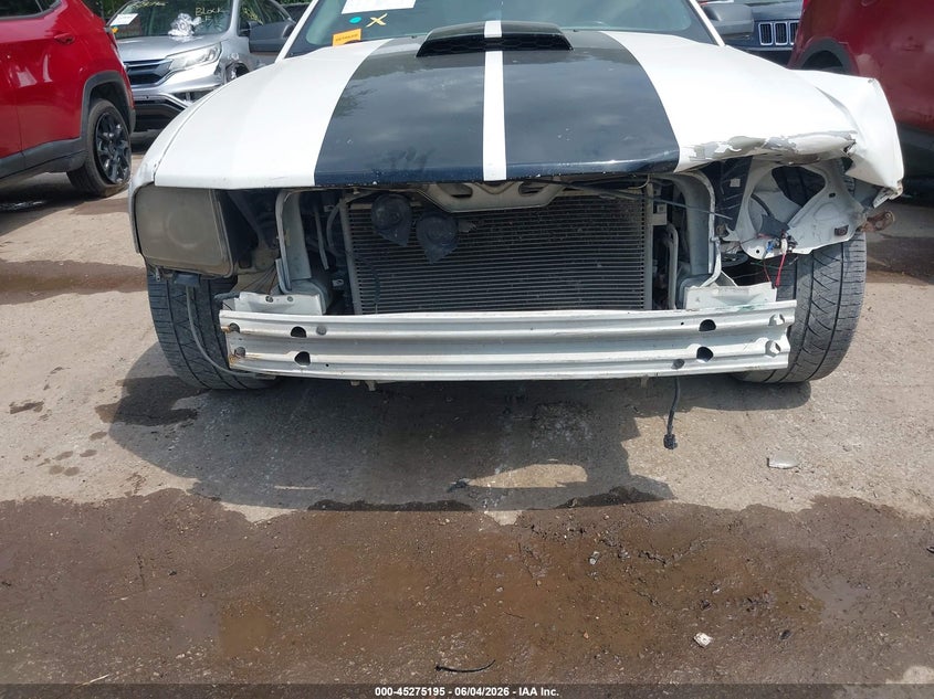 2008 Ford Mustang Gt Deluxe/Gt Premium VIN: 1ZVHT82H785178124 Lot: 45275195