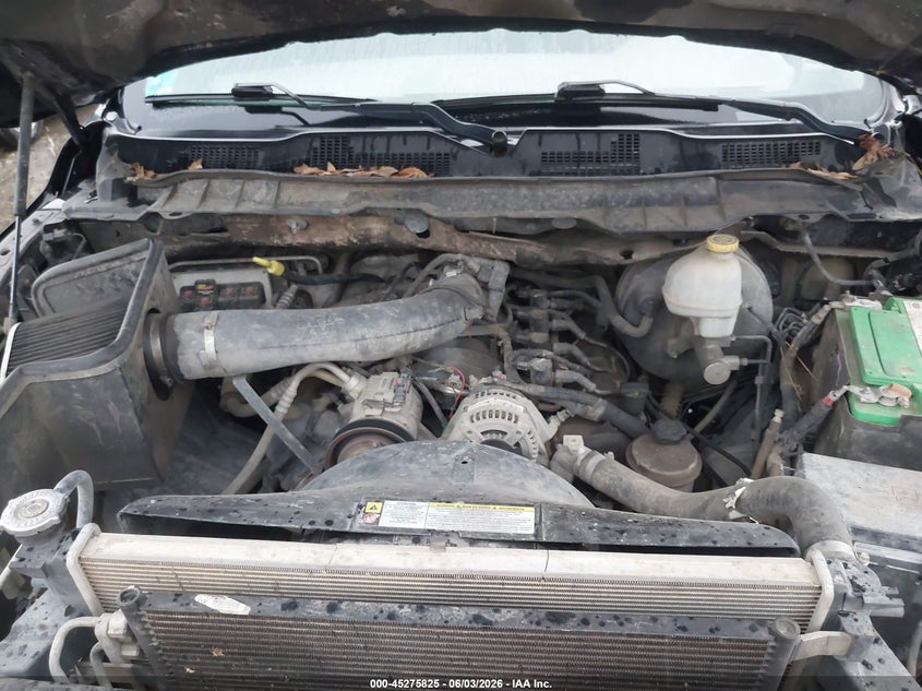 2010 Dodge Ram 1500 Slt/Sport/Trx VIN: 1D7RV1GP4AS130263 Lot: 45275825