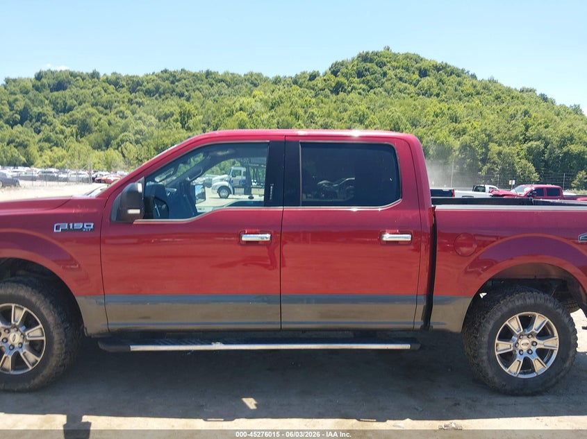 2016 Ford F-150 Xlt VIN: 1FTEW1EF5GFB24330 Lot: 45276015