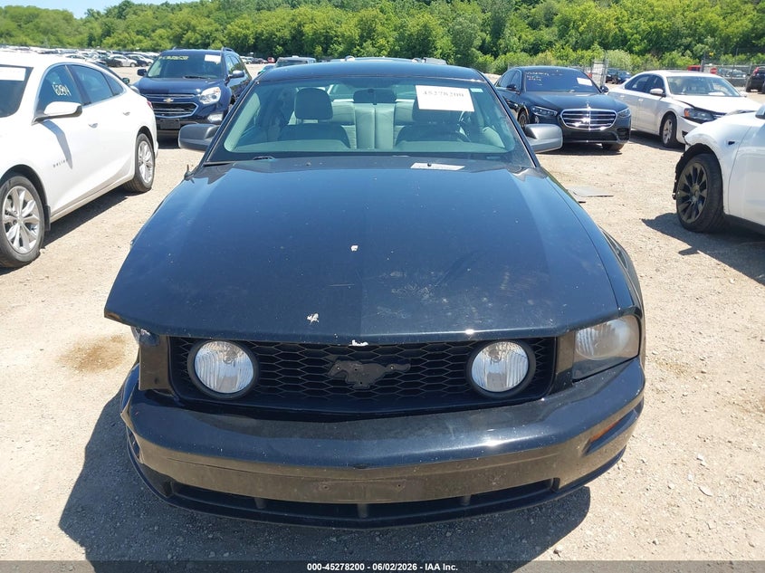 2009 Ford Mustang Gt/Gt Premium VIN: 1ZVHT82H395117757 Lot: 45278200