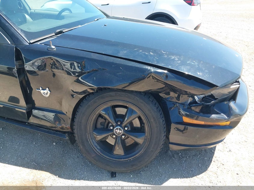2009 Ford Mustang Gt/Gt Premium VIN: 1ZVHT82H395117757 Lot: 45278200