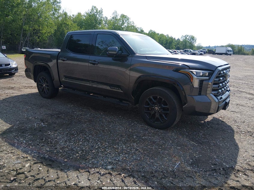 2022 TOYOTA TUNDRA auction photo 1