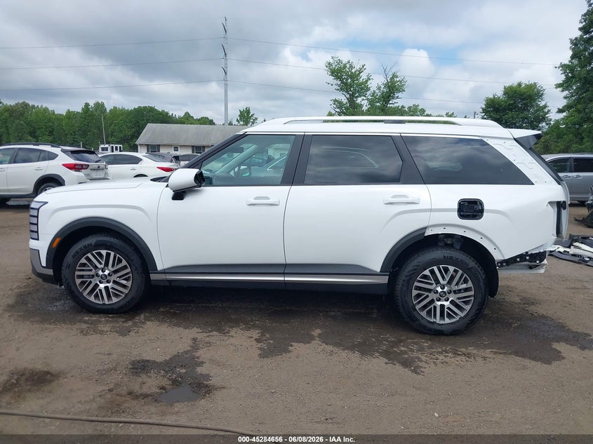 AtlanticExpress - Hyundai Palisade