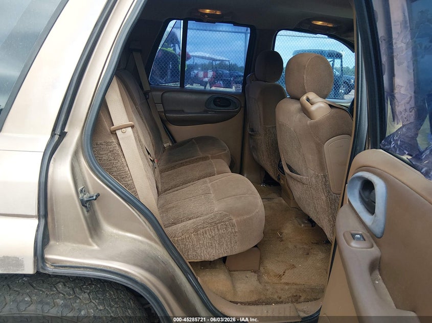2002 Chevrolet Trailblazer Ls VIN: 1GNDS13S422366556 Lot: 45285721