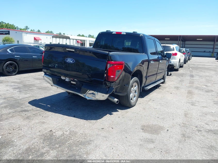 Vin: 1ftew3k80rkf77640, lot: 45784070, ford f-150 xlt 20244