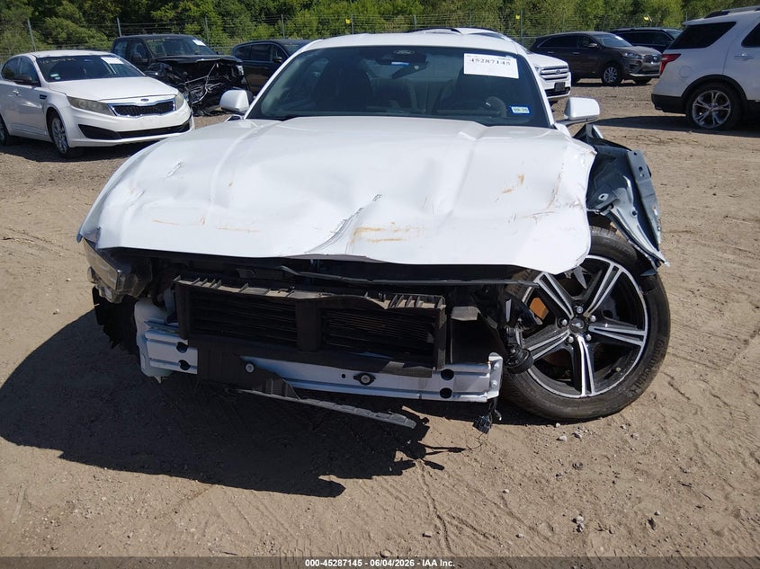 2024 Ford Mustang Ecoboost Fastback VIN: 1FA6P8TH9R5138406 Lot: 45287145