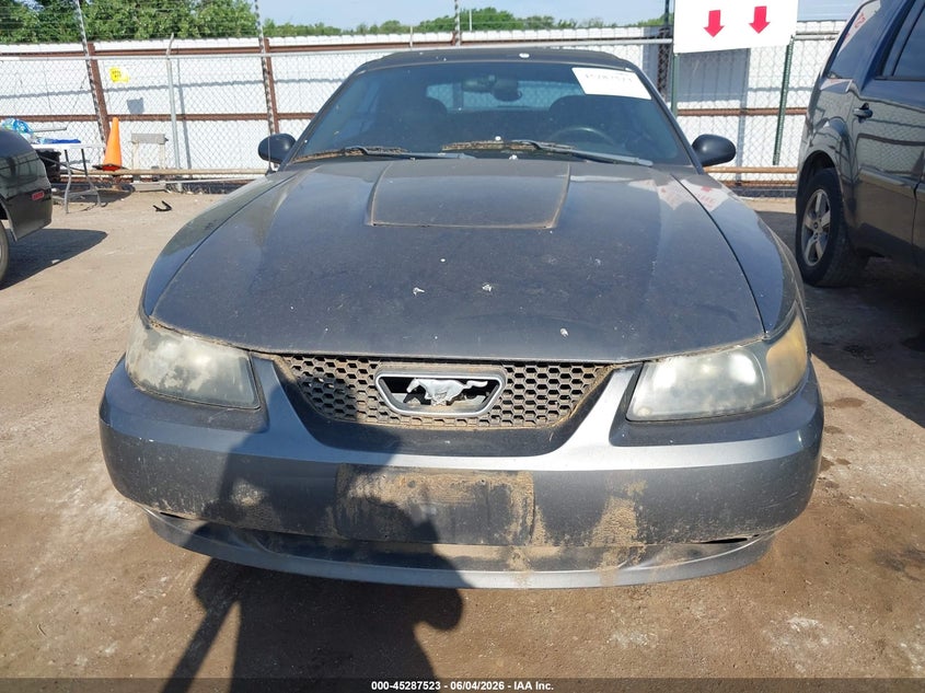 2004 Ford Mustang VIN: 1FAFP44684F242507 Lot: 45287523