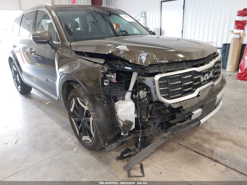 2024 Kia Telluride S VIN: 5XYP6DGC6RG561458 Lot: 45287820