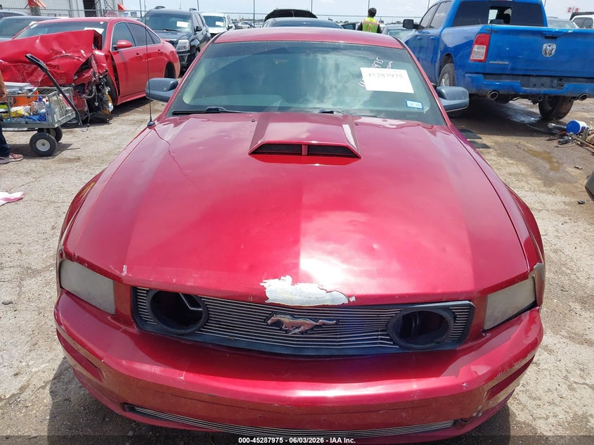 2006 Ford Mustang Gt VIN: 1ZVFT82H165144300 Lot: 45287975