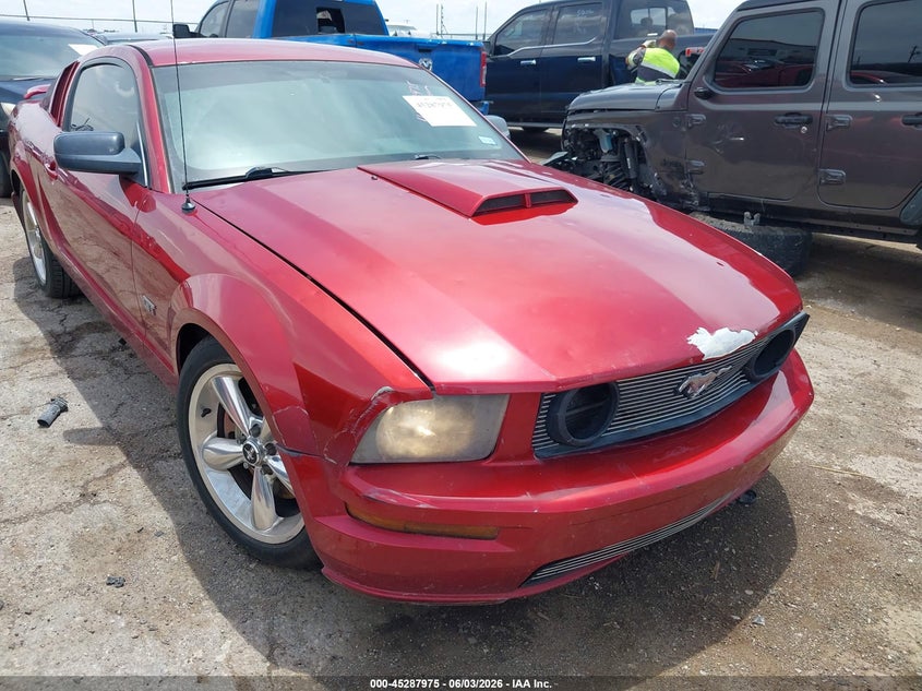 2006 Ford Mustang Gt VIN: 1ZVFT82H165144300 Lot: 45287975