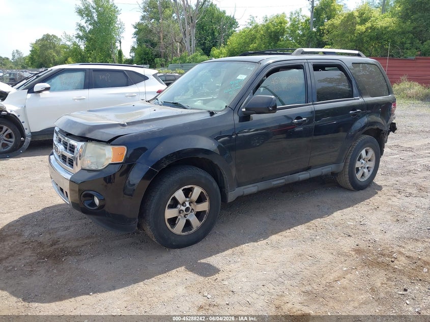 2010 Ford Escape Limited VIN: 1FMCU0EG3AKA87854 Lot: 45288242