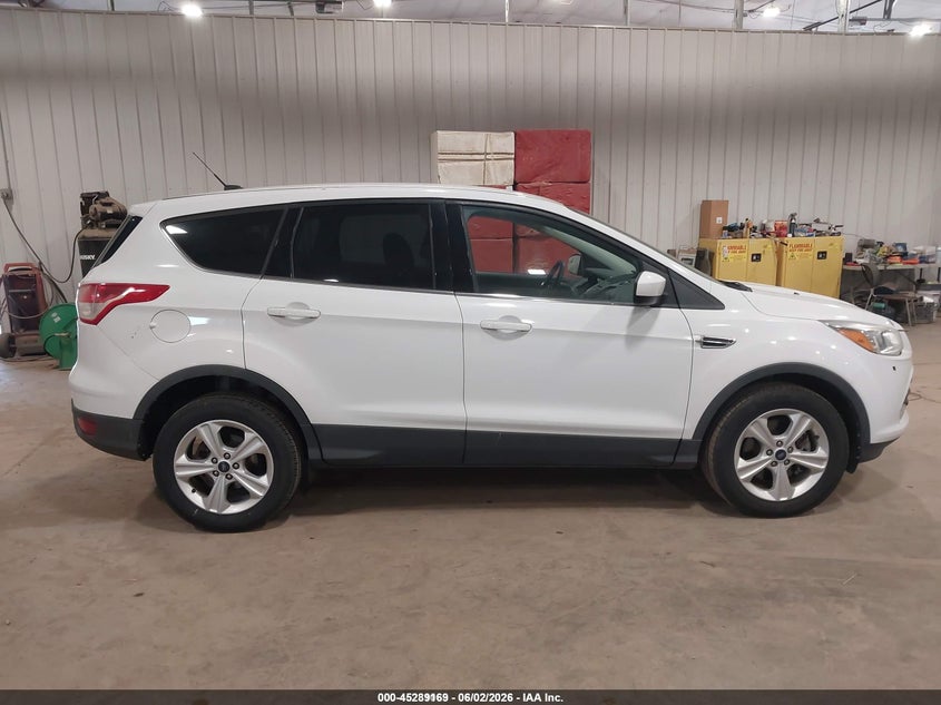 AtlanticExpress - Ford Escape