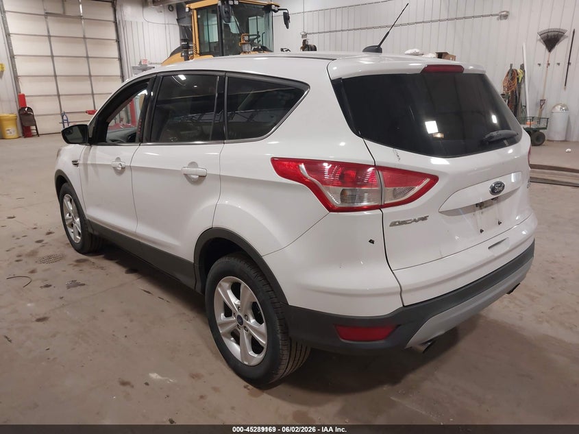 AtlanticExpress - Ford Escape