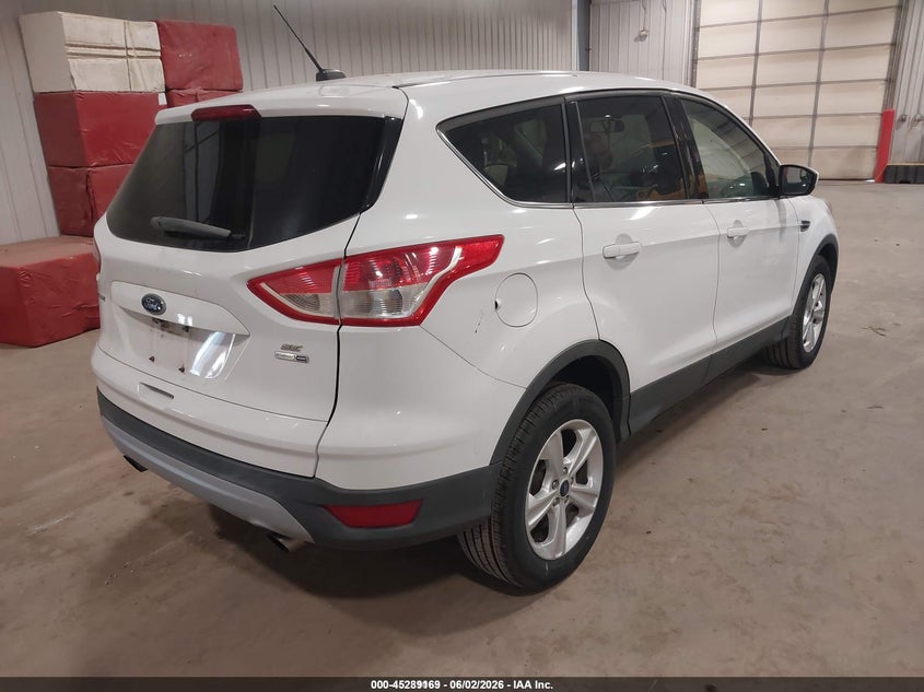 AtlanticExpress - Ford Escape