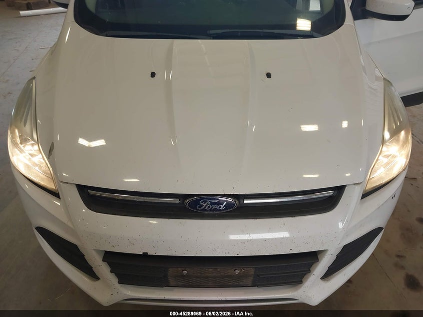 AtlanticExpress - Ford Escape