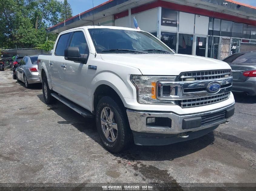 Vin: 1ftew1e44kfd28012, lot: 45787701, ford f-150 xlt 2019 img_1