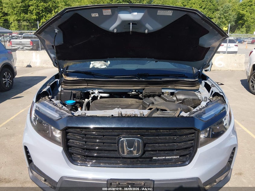2024 Honda Passport Awd Black VIN: 5FNYF8H88RB009764 Lot: 45291019