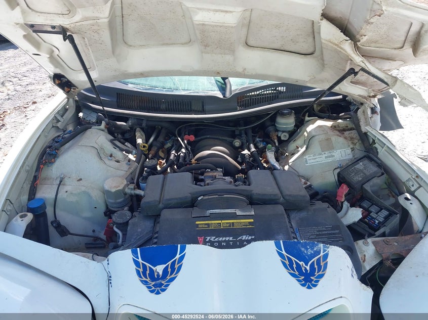 1999 Pontiac Firebird Trans Am VIN: 2G2FV22G2X2219184 Lot: 45292524