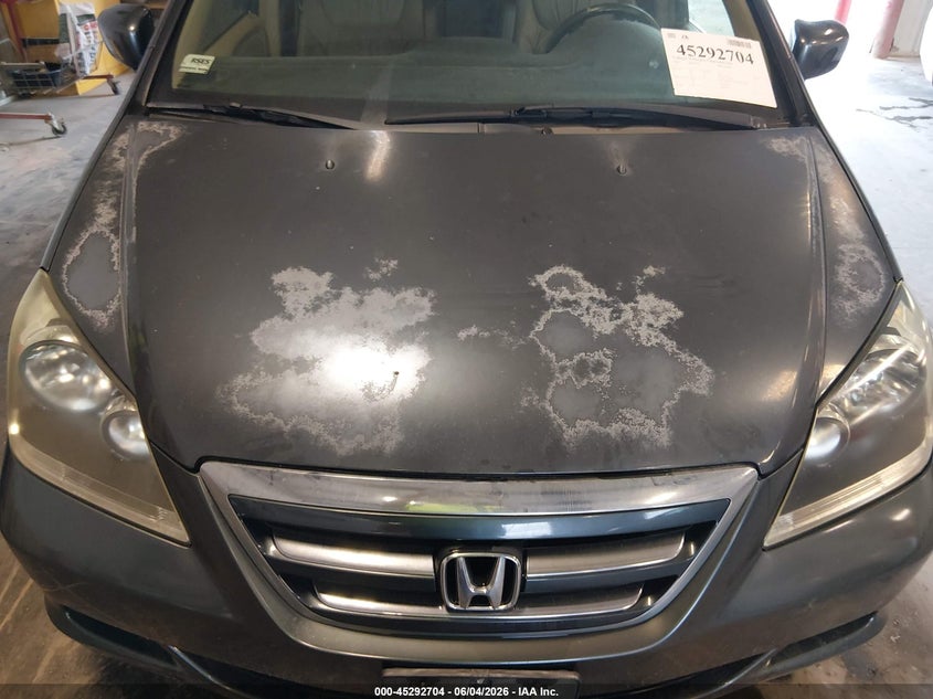 2006 Honda Odyssey Ex-L VIN: 5FNRL38776B446805 Lot: 45292704