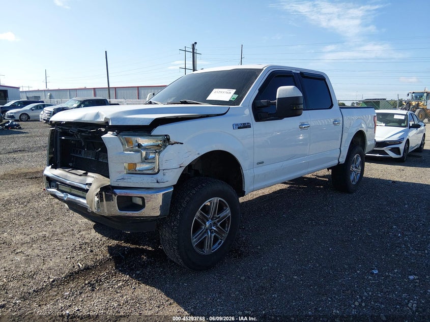 Vin: 1ftew1cp9fke97503, lot: 45791604, ford f-150 xlt 20152