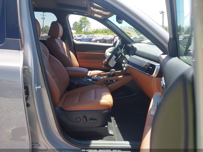 2025 Kia Telluride Ex X-Line VIN: 5XYP3DGC9SG725008 Lot: 45295169