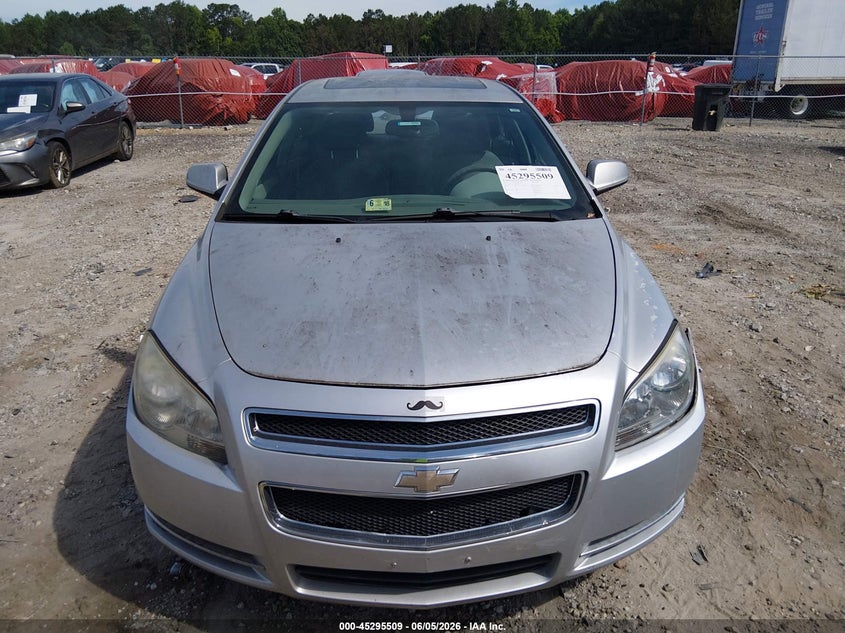 AtlanticExpress - Chevrolet Malibu