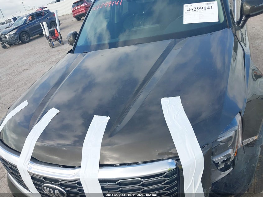 2020 Kia Telluride Sx VIN: 5XYP5DHC0LG079710 Lot: 45299141