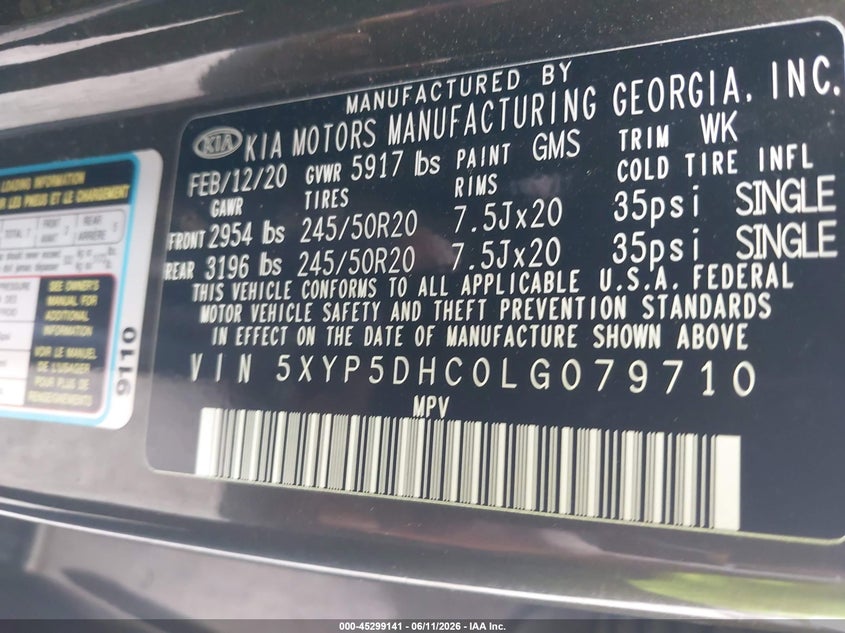 2020 Kia Telluride Sx VIN: 5XYP5DHC0LG079710 Lot: 45299141