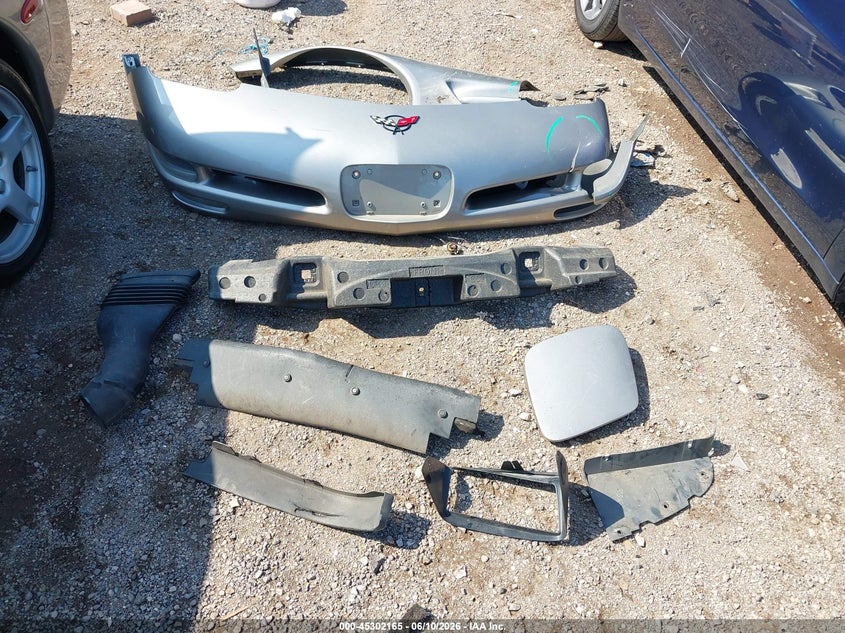 1999 Chevrolet Corvette VIN: 1G1YY32G7X5116695 Lot: 45302165