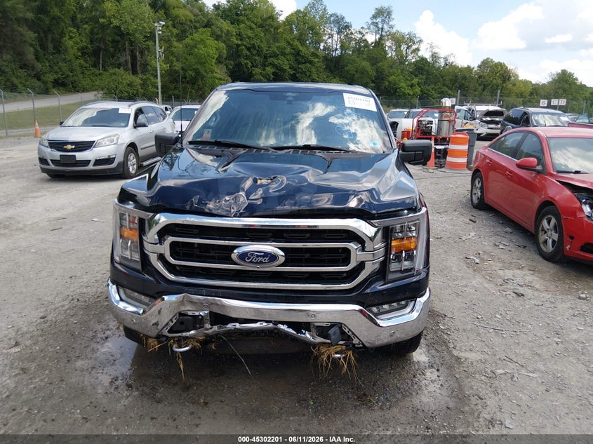 2021 Ford F-150 Xlt VIN: 1FTFW1ED7MFC99838 Lot: 45302201