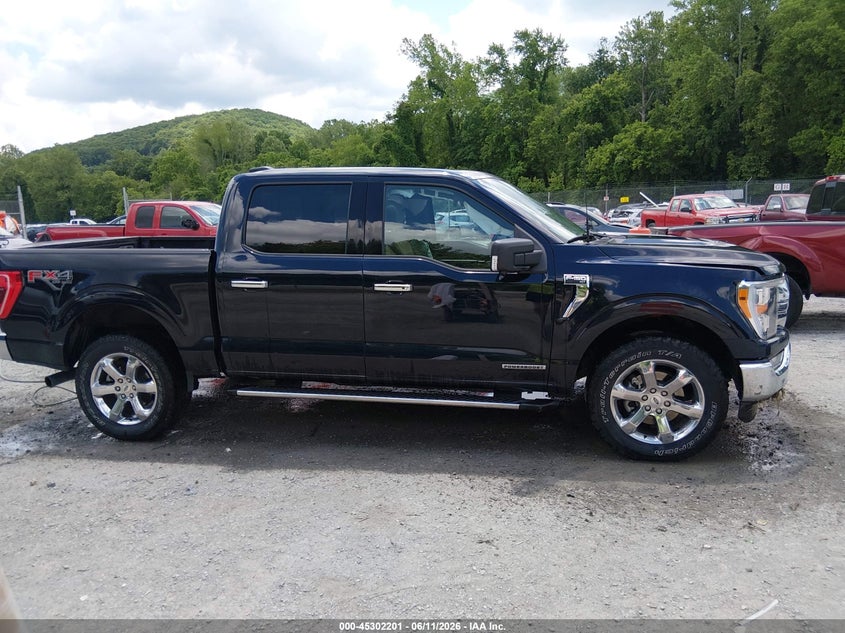 2021 Ford F-150 Xlt VIN: 1FTFW1ED7MFC99838 Lot: 45302201