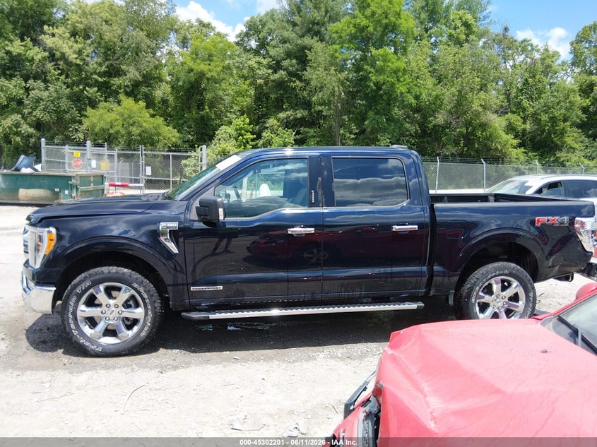 2021 Ford F-150 Xlt VIN: 1FTFW1ED7MFC99838 Lot: 45302201