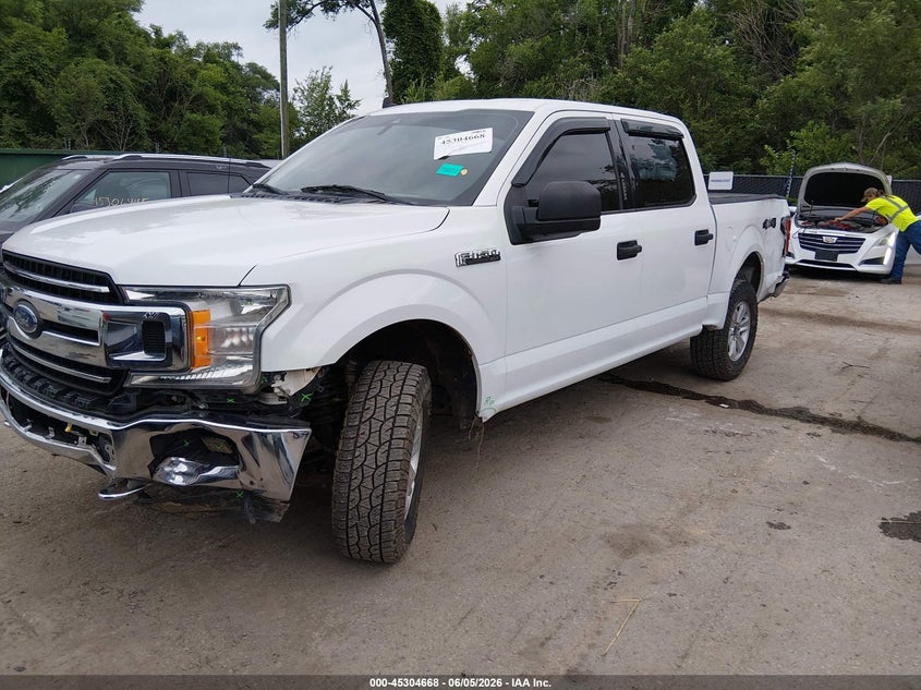 Vin: 1ftew1e4xkfc12328, lot: 45802531, ford f-150 xlt 20192