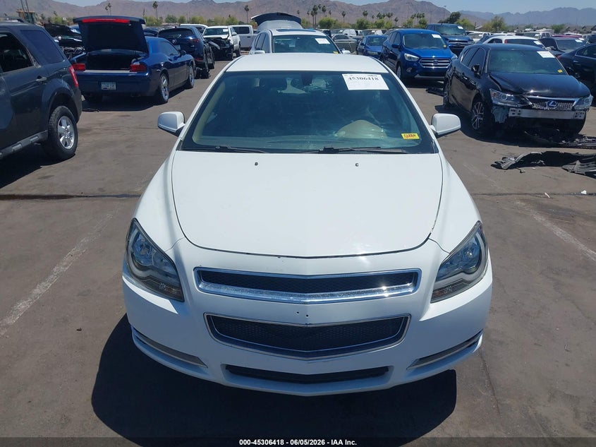 AtlanticExpress - Chevrolet Malibu