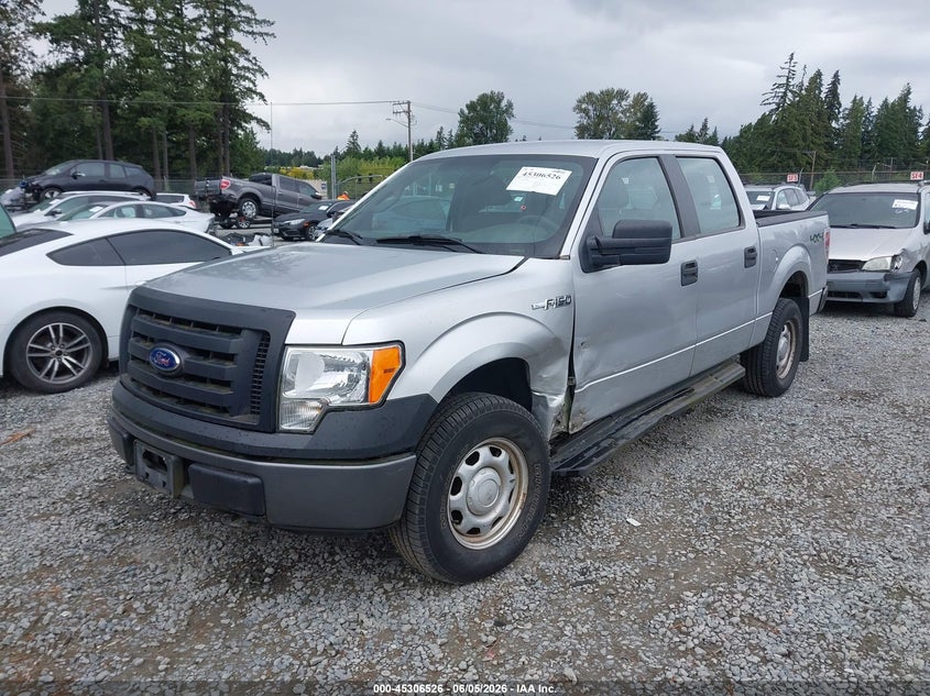 Vin: 1ftew1e8xafb68252, lot: 45804389, ford f-150 xl/xlt 20102