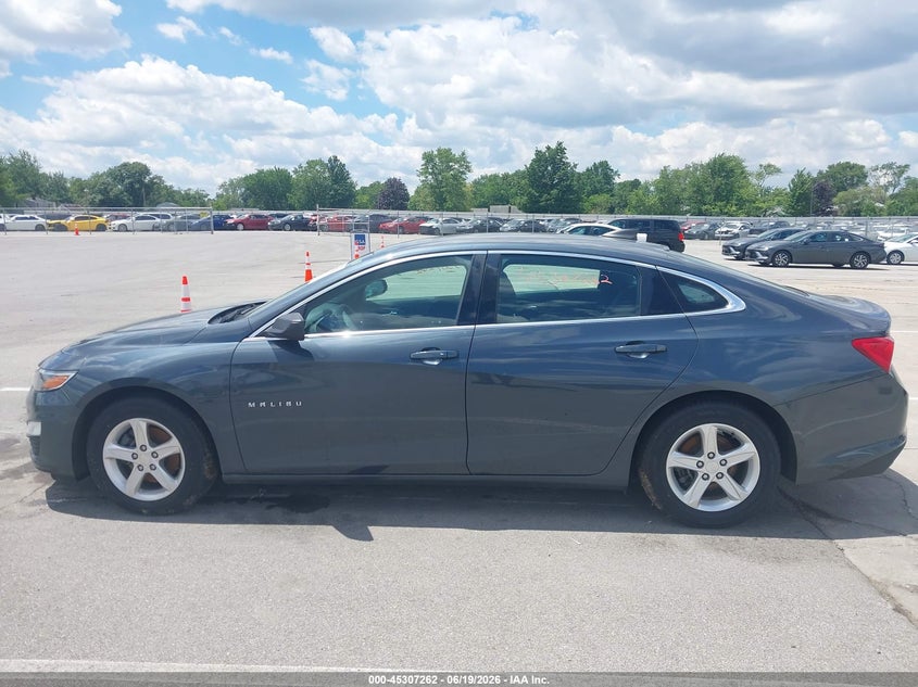 CHEVROLET MALIBU 2019 VIN 1G1ZC5ST1KF207721