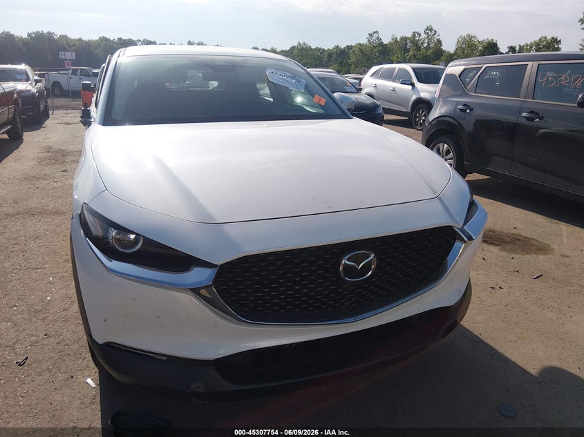 2024 Mazda Cx-30 2.5 S VIN: 3MVDMBAMXRM647887 Lot: 45307754
