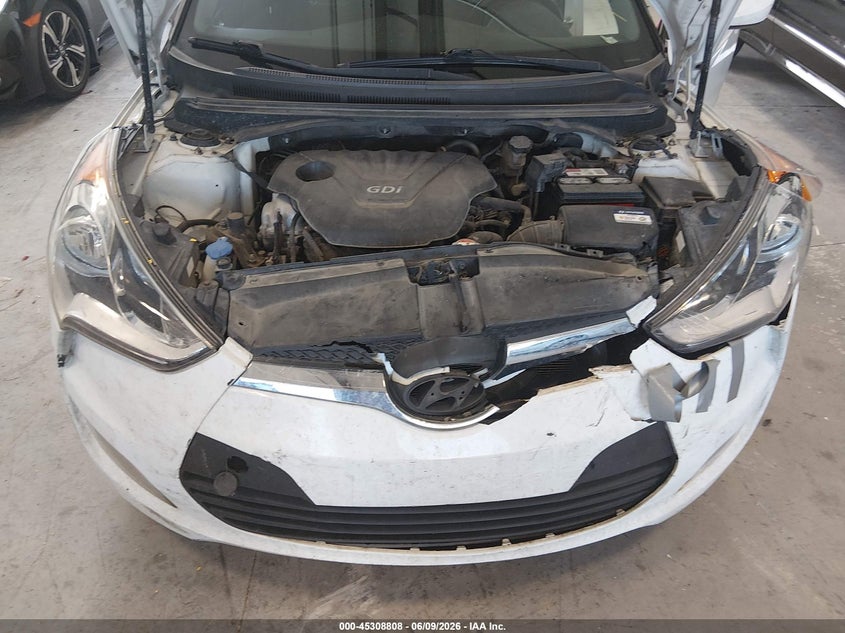 2017 Hyundai Veloster VIN: KMHTC6AD8HU310647 Lot: 45308808