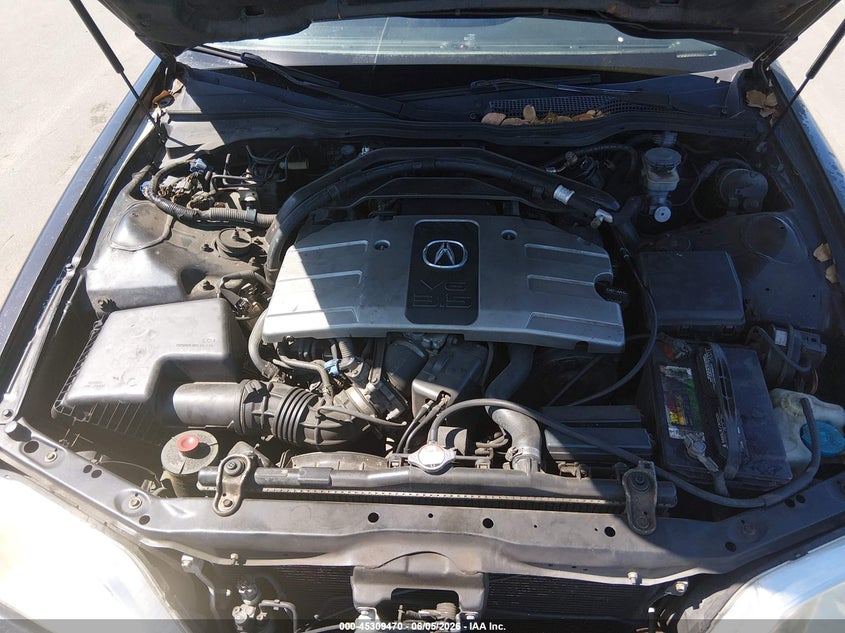 2004 Acura Rl 3.5 VIN: JH4KA96604C006616 Lot: 45309470