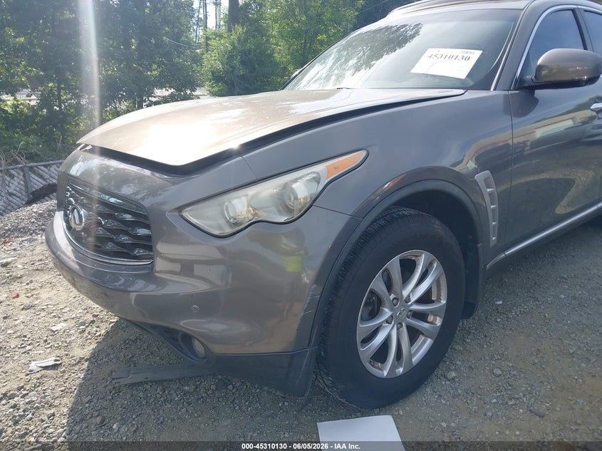 2010 Infiniti Fx35 VIN: JN8AS1MW3AM850920 Lot: 45310130